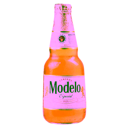 Modelo beer bottle